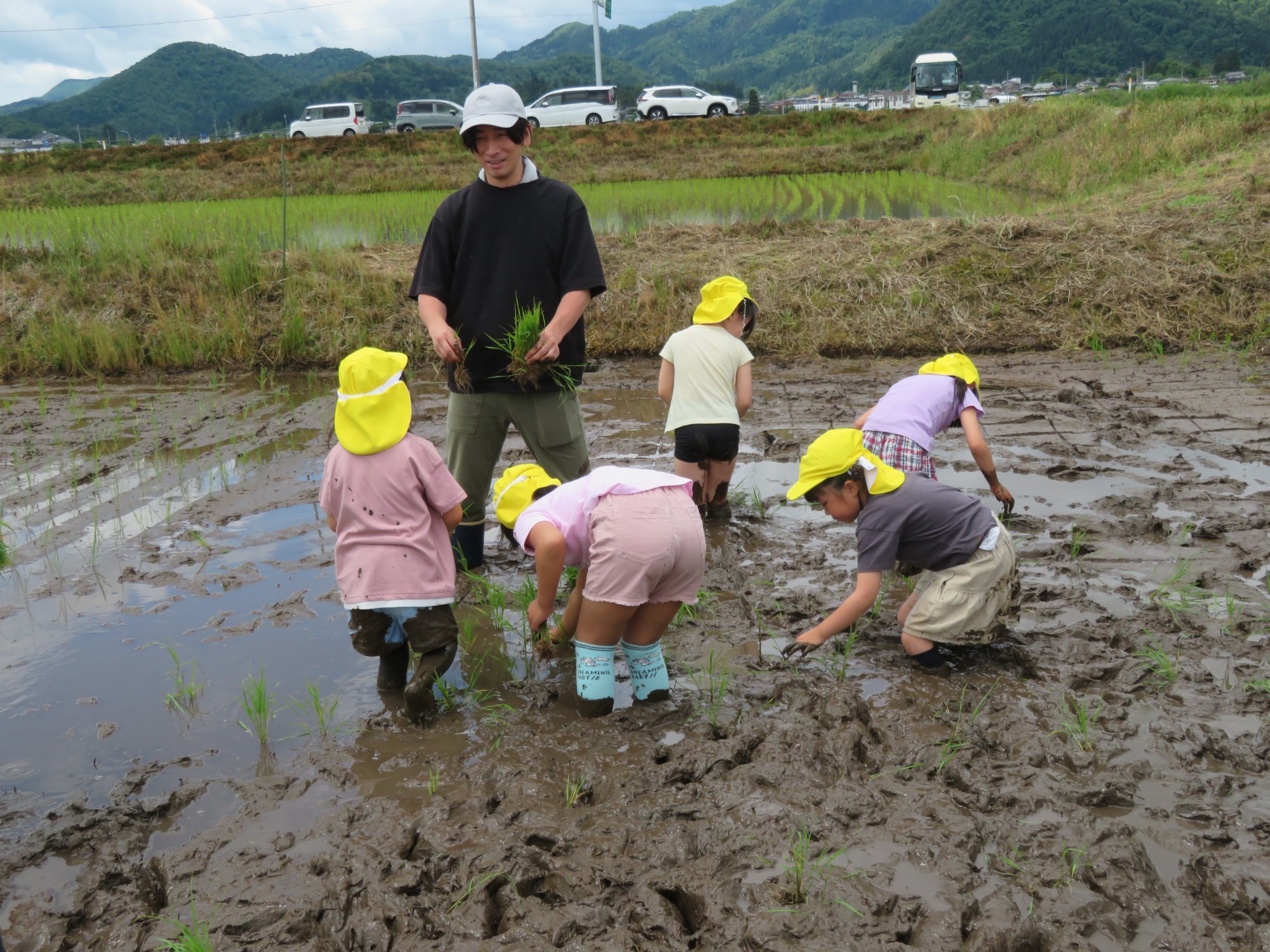 田植え(6月) 田植え(6月)